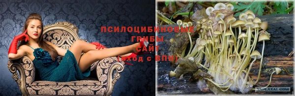 кокс Бугульма