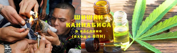 гашик Богородск