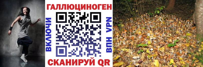 где можно купить наркотик  Смоленск  Галлюциногенные грибы MAGIC MUSHROOMS 